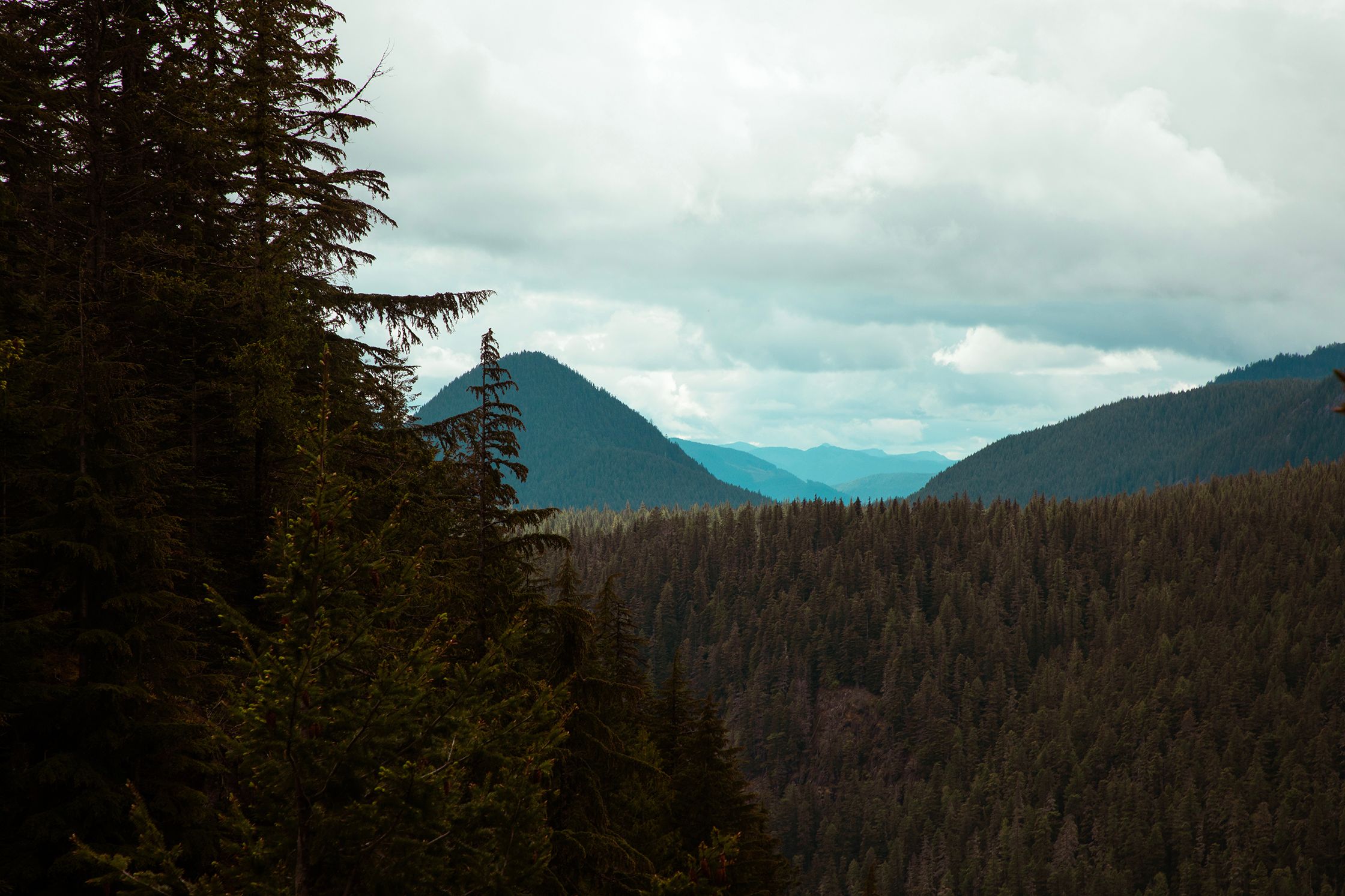Ridgelines in the Mist