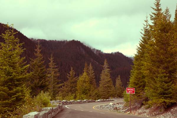The Road Up