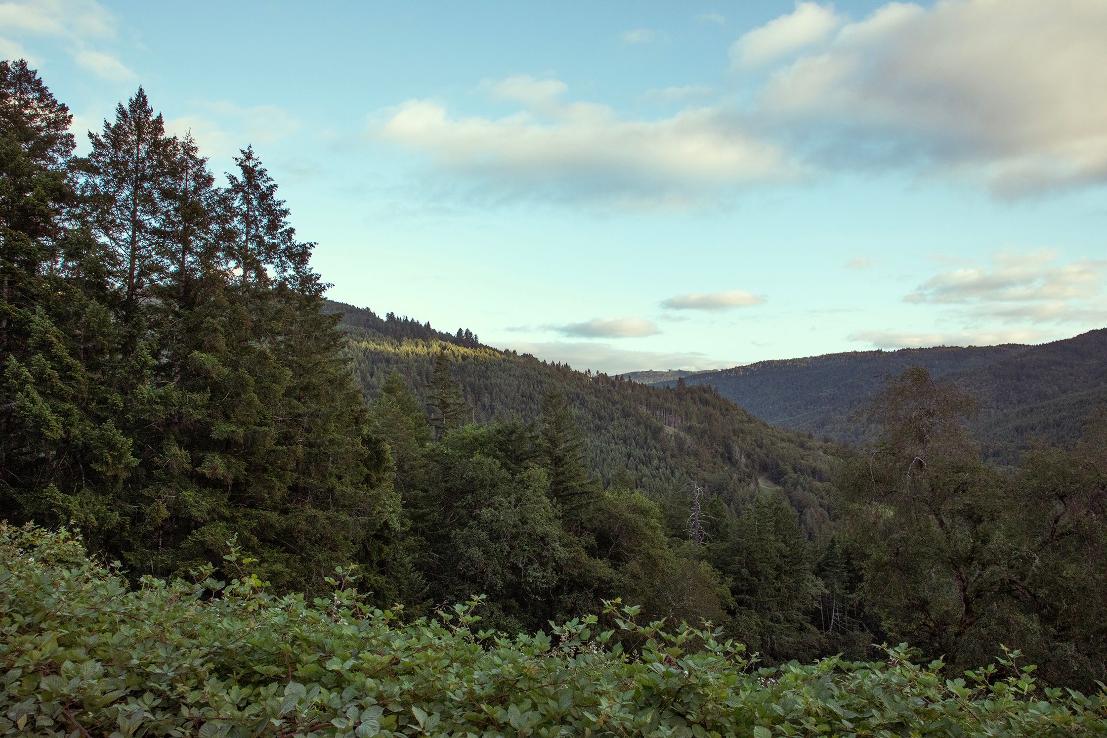 Foothills at Dusk