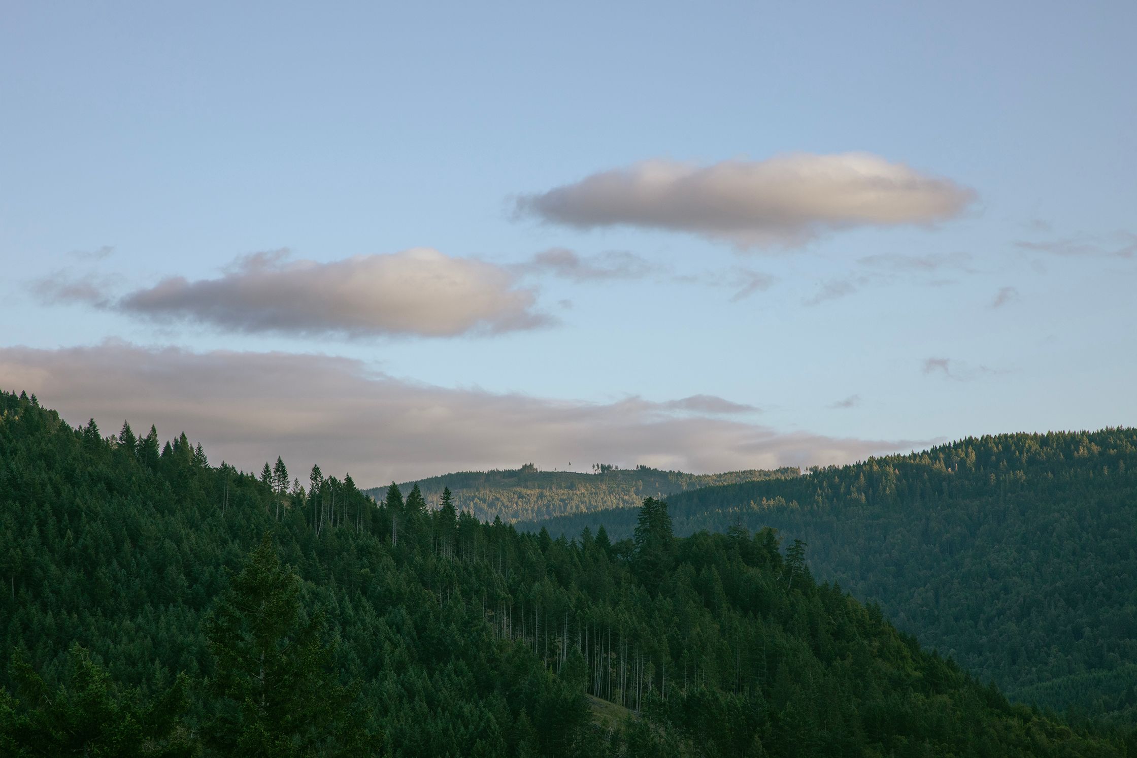 Clouds Over the Ridge