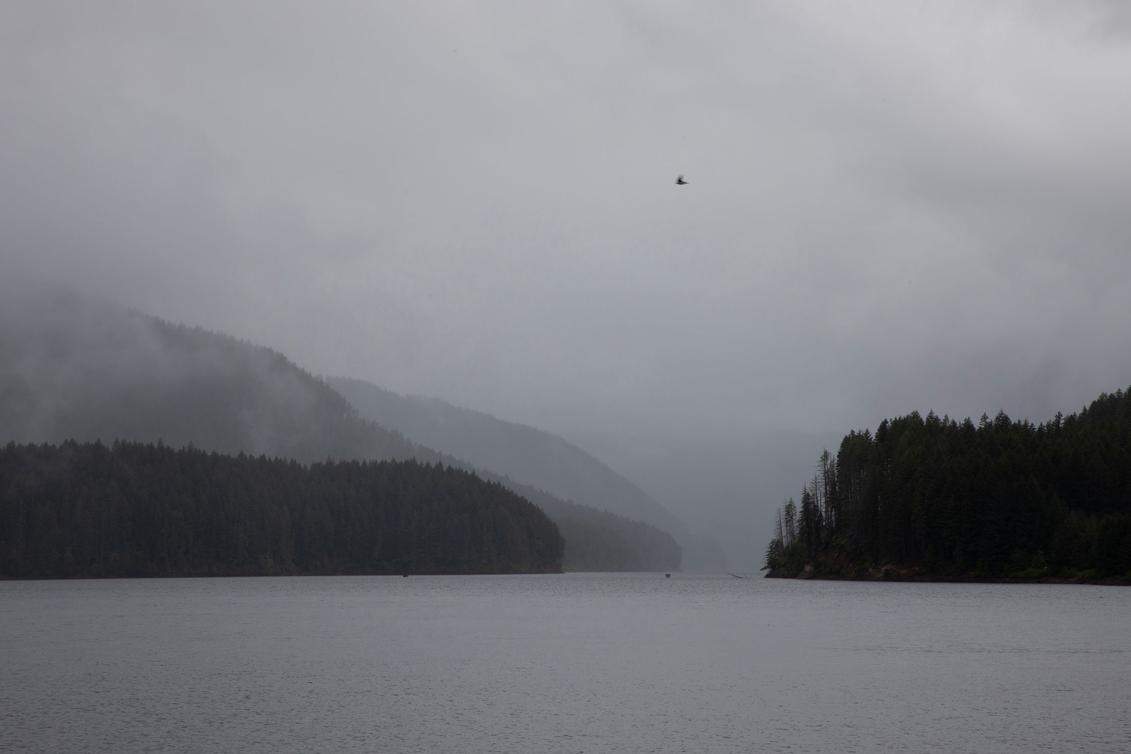 Fog on the Water