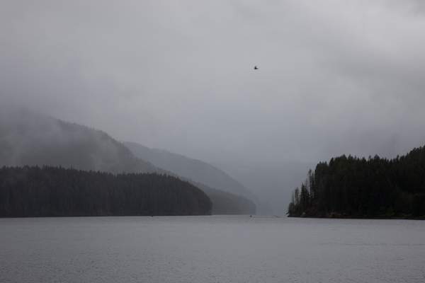Fog on the Water