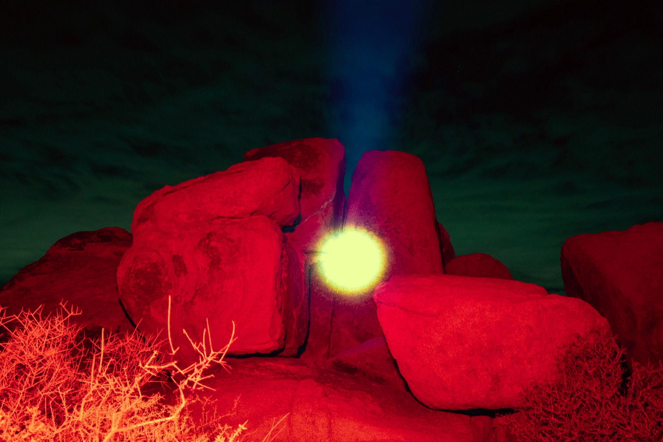 Joshua Tree at Night