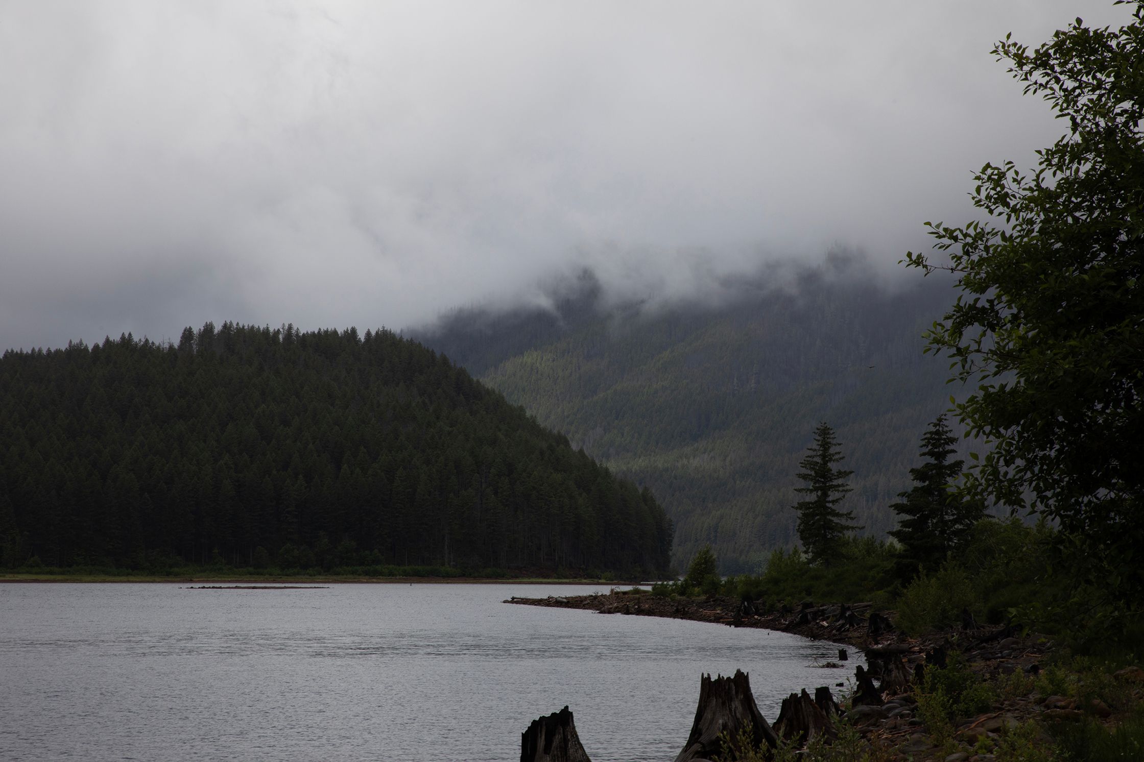 Low Clouds at the Shoreline