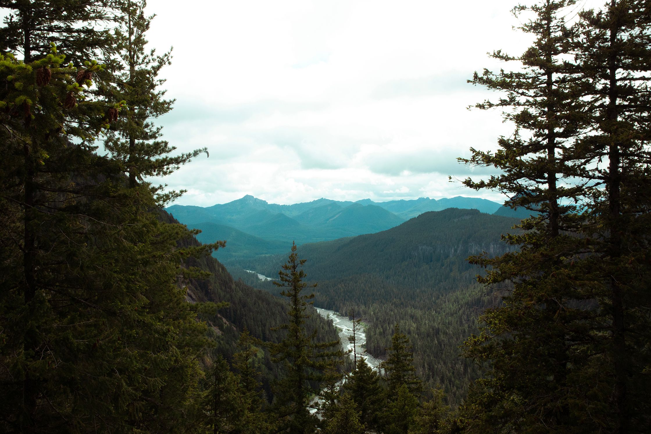 River Through the Valley