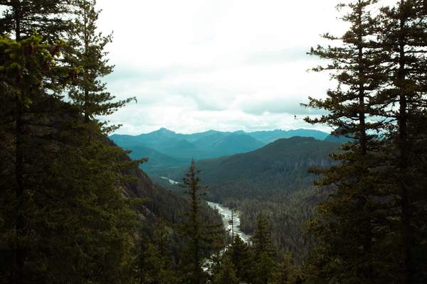 River Through the Valley